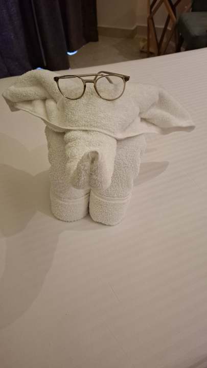 Zimmer Seagull Beach Resort