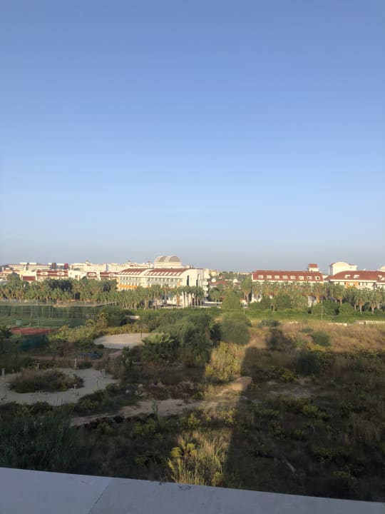 Ausblick Well Palace Side