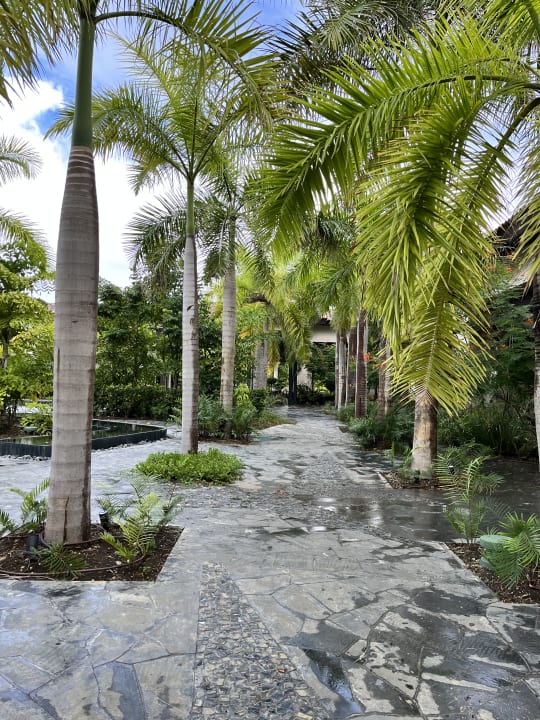 Gartenanlage Lopesan Costa Bávaro Resort, Spa & Casino