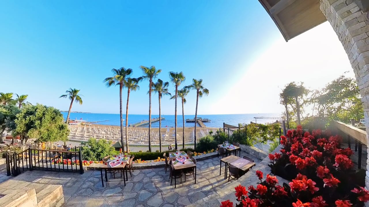Ausblick Arum Barut Collection