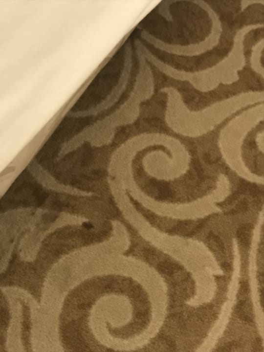 Zimmer Royal Arena Resort & Spa