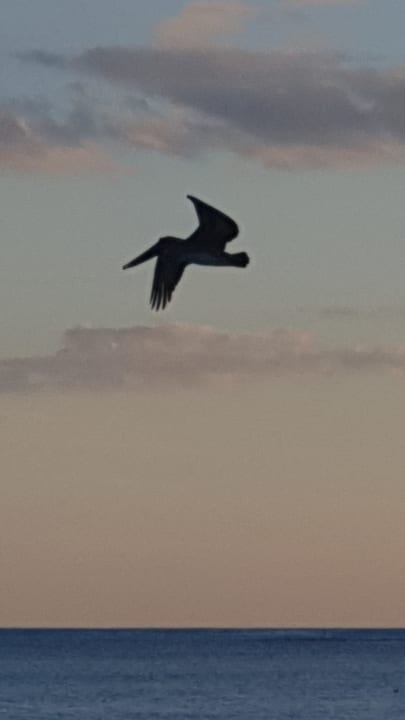 Ausblick Akumal Bay Beach & Wellness Resort