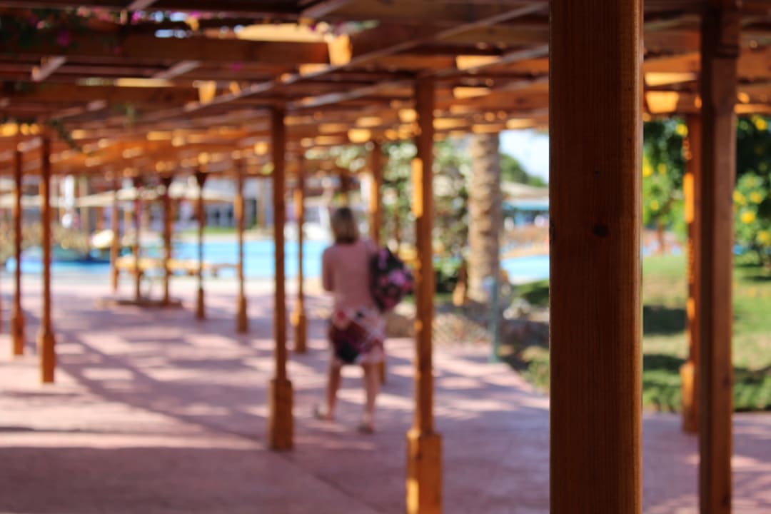 Sonstiges Desert Rose