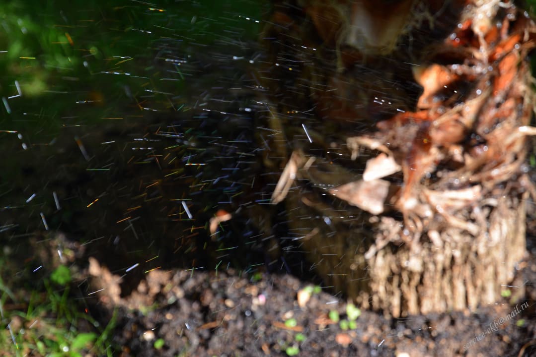 Delphin Imperial Hotel Delphin Imperial