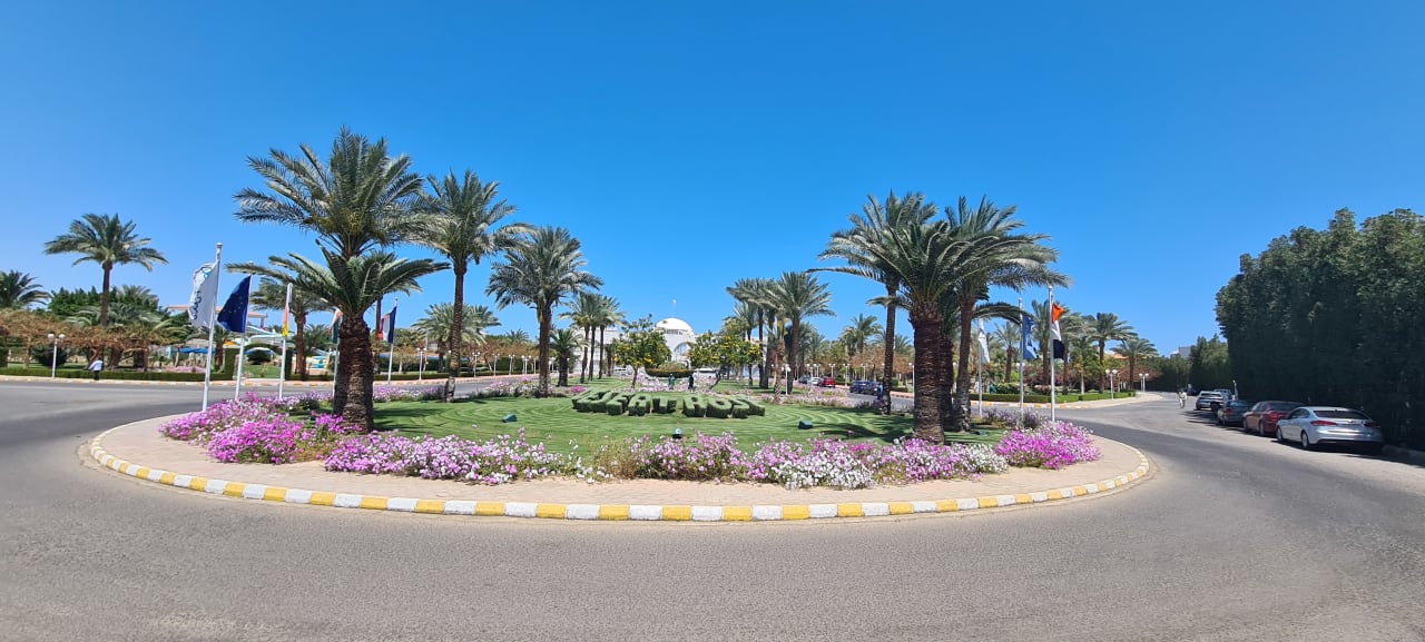 Ausblick Desert Rose