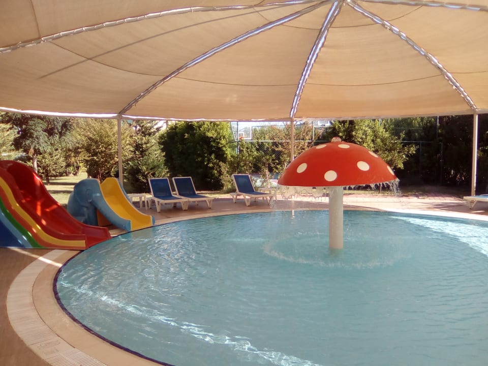 Pool Calimera Hane Garden