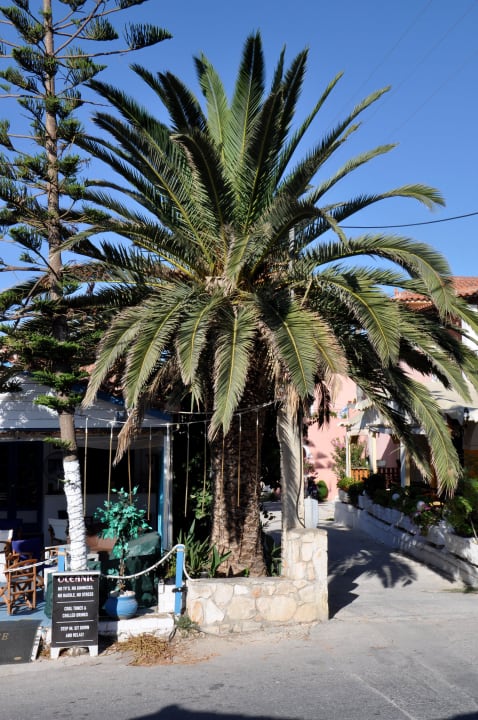 Widok z lobby SuneoClub Cavo D'Oro Hotel