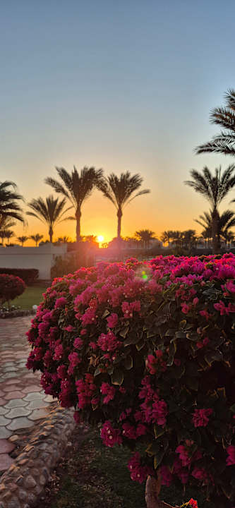 Gartenanlage Three Corners Sea Beach Resort