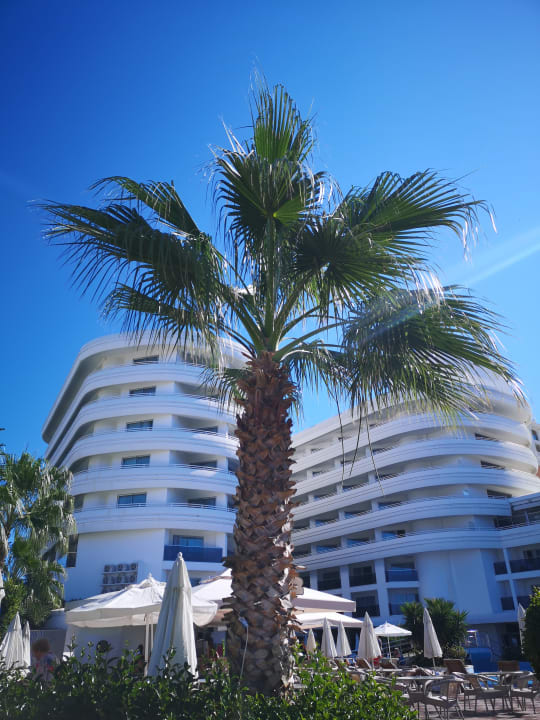 Pool Laguna Beach Alya Resort & Spa Hotel