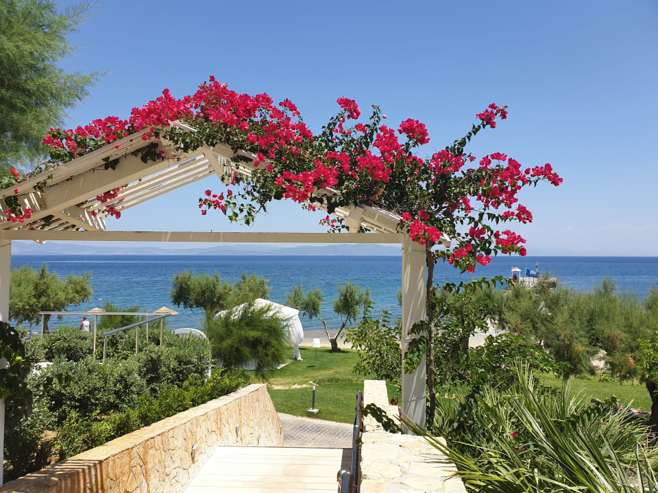 Gartenanlage TUI BLUE Oceanis Beach and Spa Resort