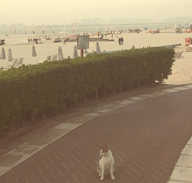 Strand Sheraton Jumeirah Beach Resort