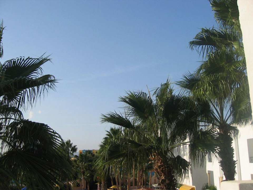 Ausblick Hotel Nesrine