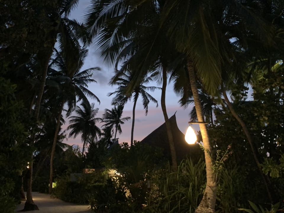 Ausblick Sun Siyam Vilu Reef