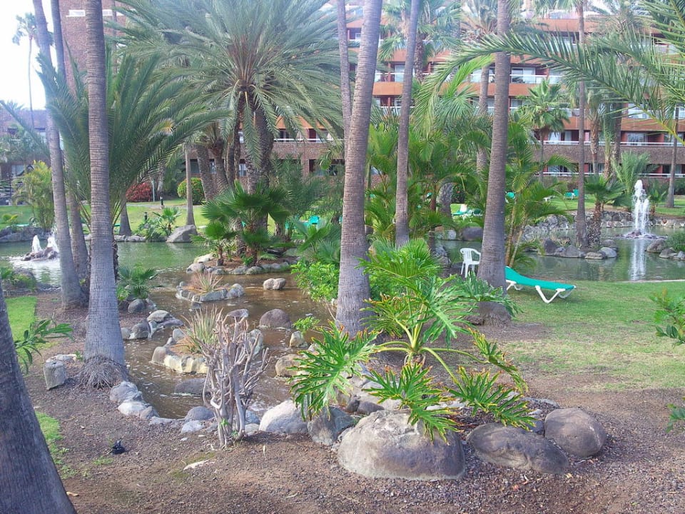 Gartenanlage Hotel Riu Palace Oasis