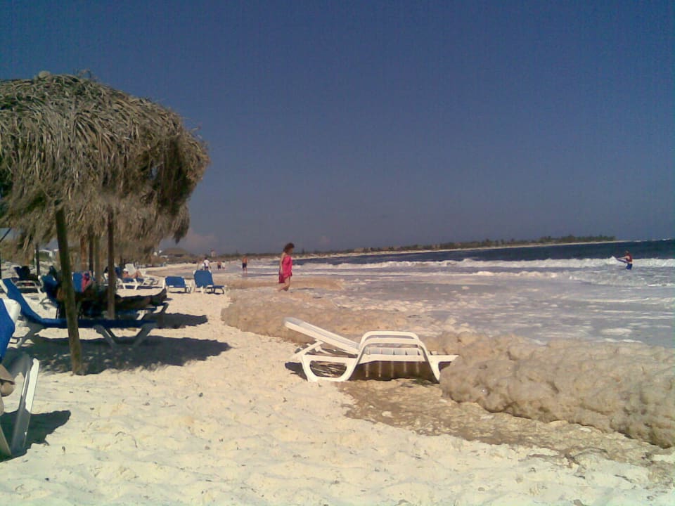 Algen am Hausstrand Hotel Cayo Largo del Sol