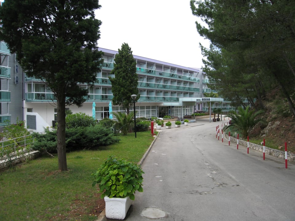 Eingang Hotel Aurora Hotel Aurora