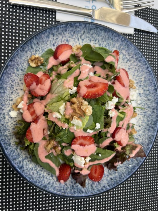 Gastro Paloma Oceana