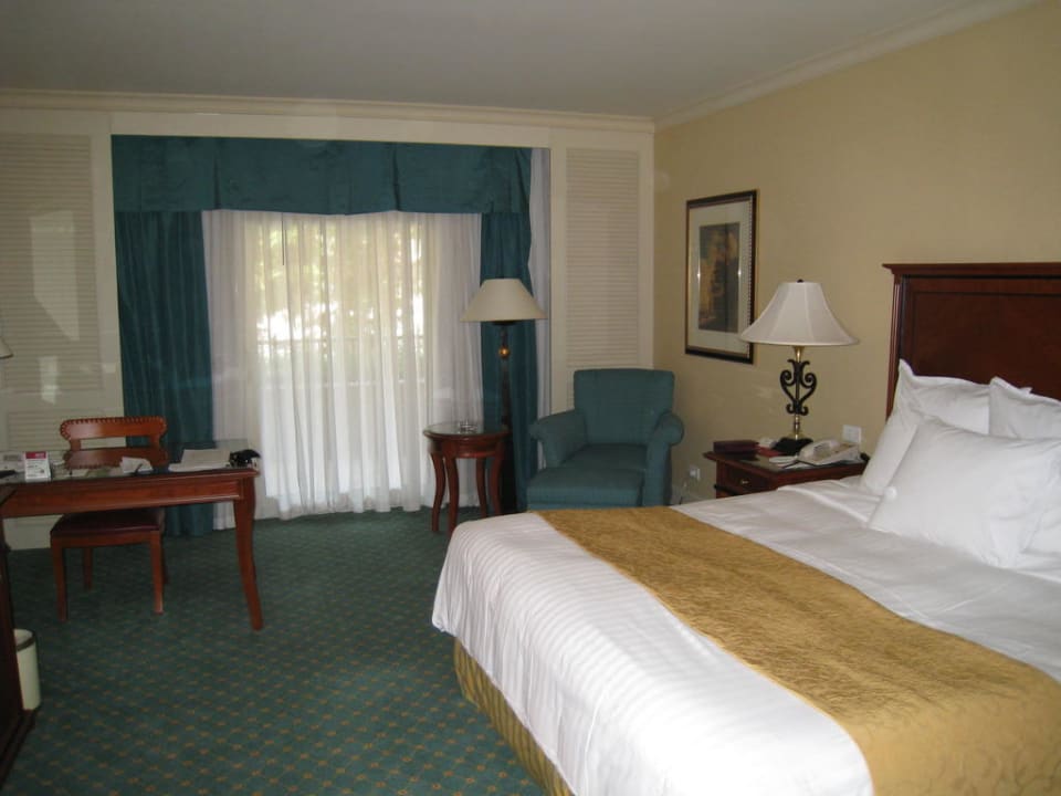 Vista habitacion Hotel JW Marriott Cairo