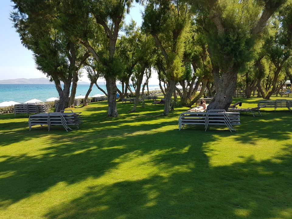 Gartenanlage Neptune Luxury Resort