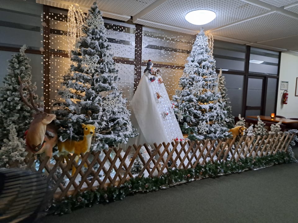 Sonstiges AHORN Berghotel Friedrichroda