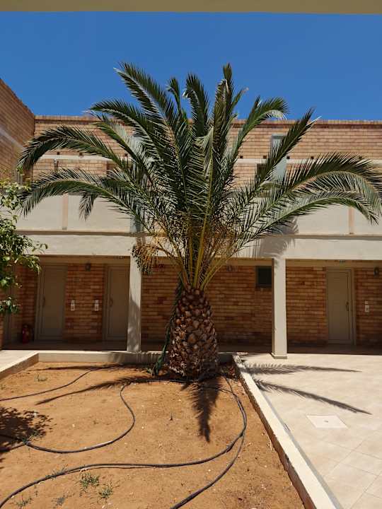 Außenansicht Bella Beach Hotel