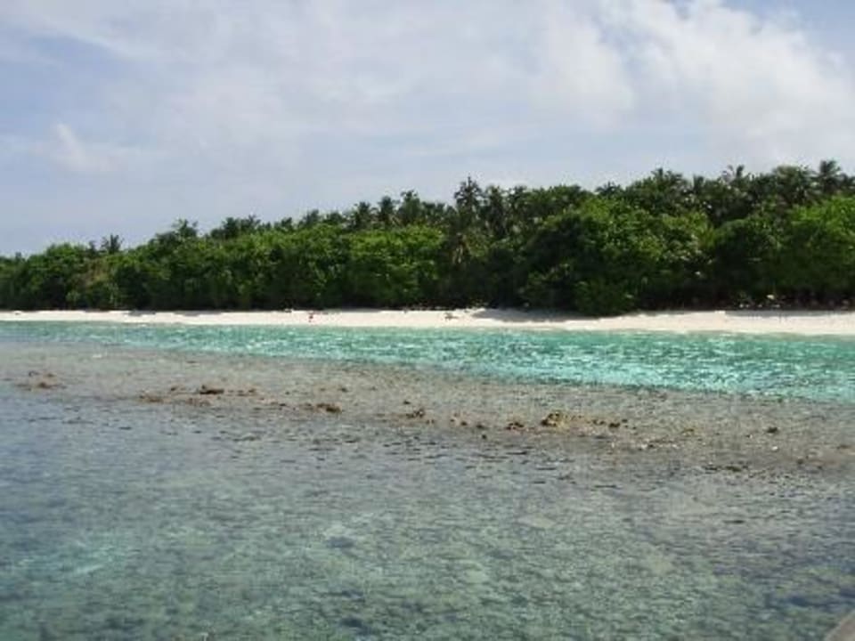 Riff Royal Island