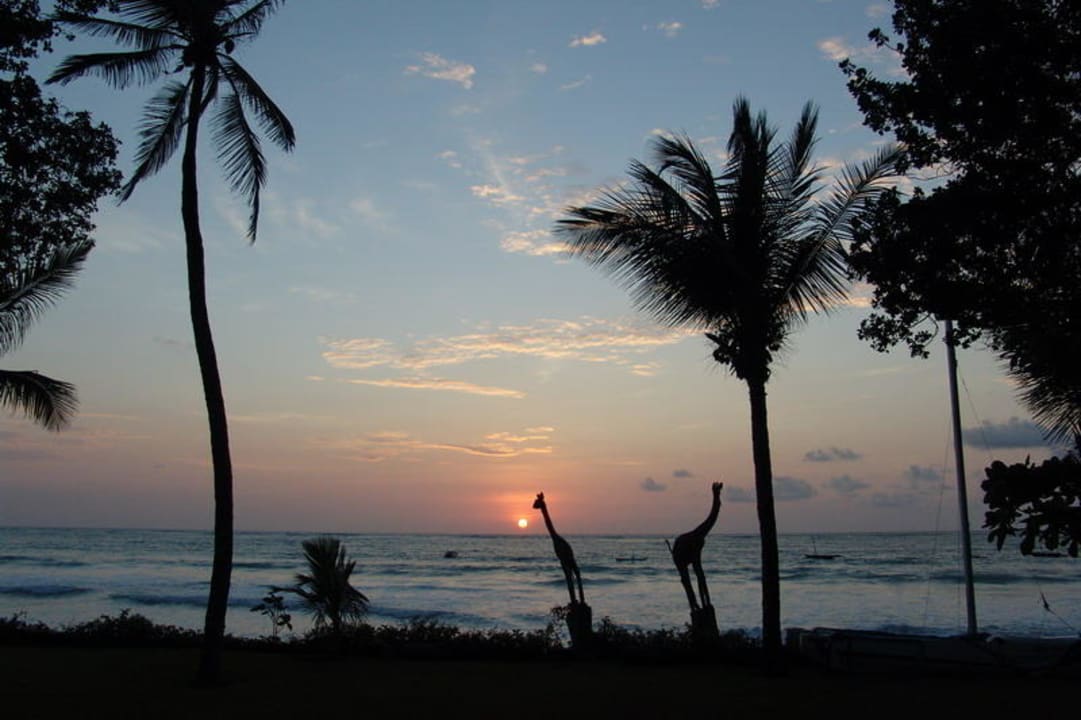 Sonnenaufgang Hotel Safari Beach
