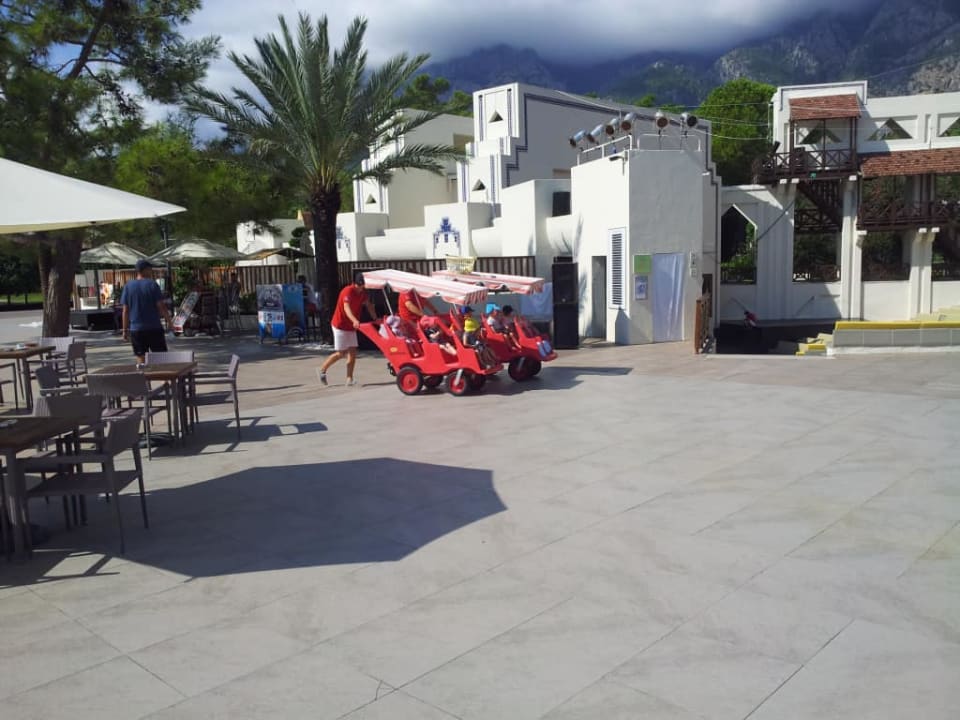 Club Med Bodrum Palmiye Club Med Bodrum Palmiye
