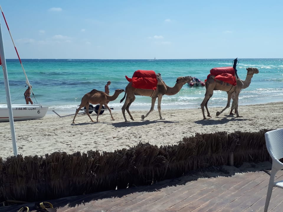 Strand ROBINSON DJERBA BAHIYA