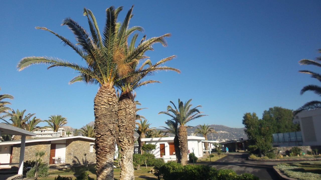 Garten Civitel Creta Beach