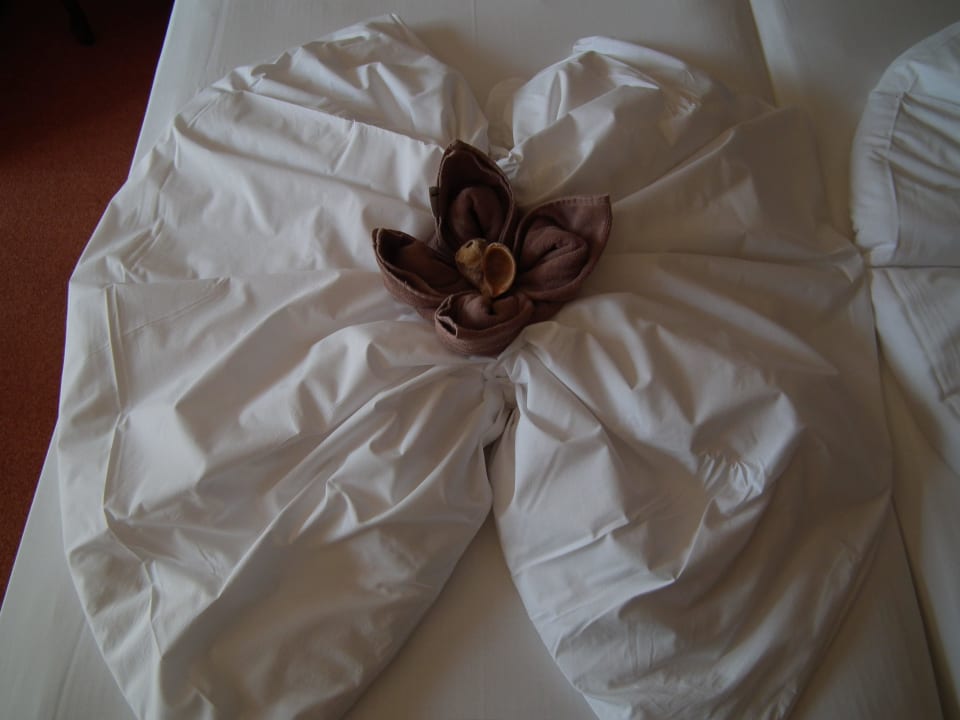 Lotusblüte aus der Bettdecke und Handtuch GRIFID Aqua Club Bolero