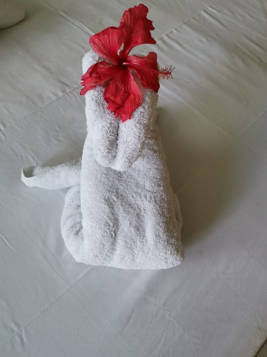 Zimmer Playa Cayo Santa Maria