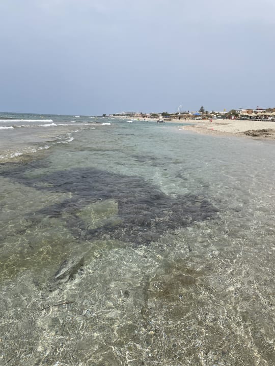 Strand Lyttos Beach Hotel