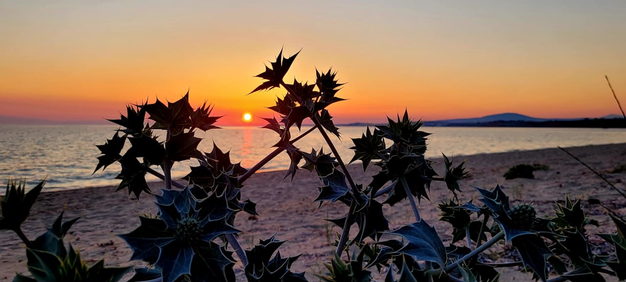 Strand Portes Theros