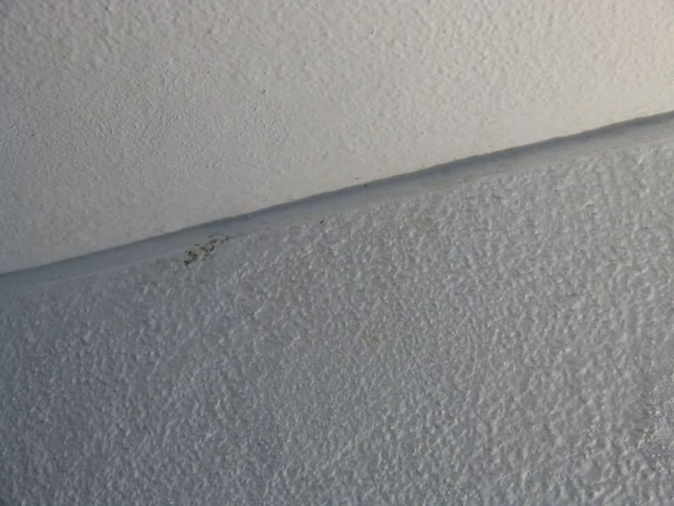 Schimmel überall Monica Isabel Beach Club