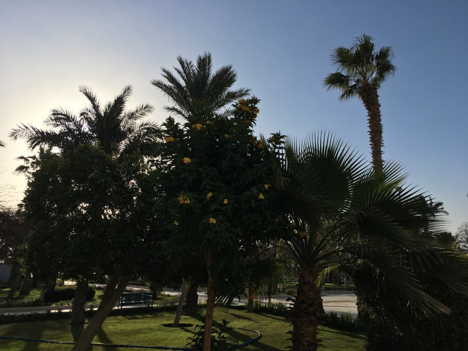 Gartenanlage The Grand Hotel Hurghada