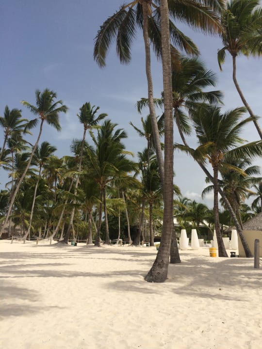 Strand Meliá Caribe Beach Resort-All Inclusive
