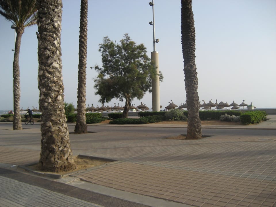 Mietschirme allsun Hotel Pil-lari Playa