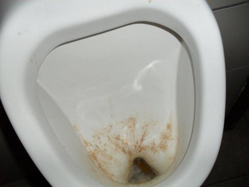 Toilets Iona