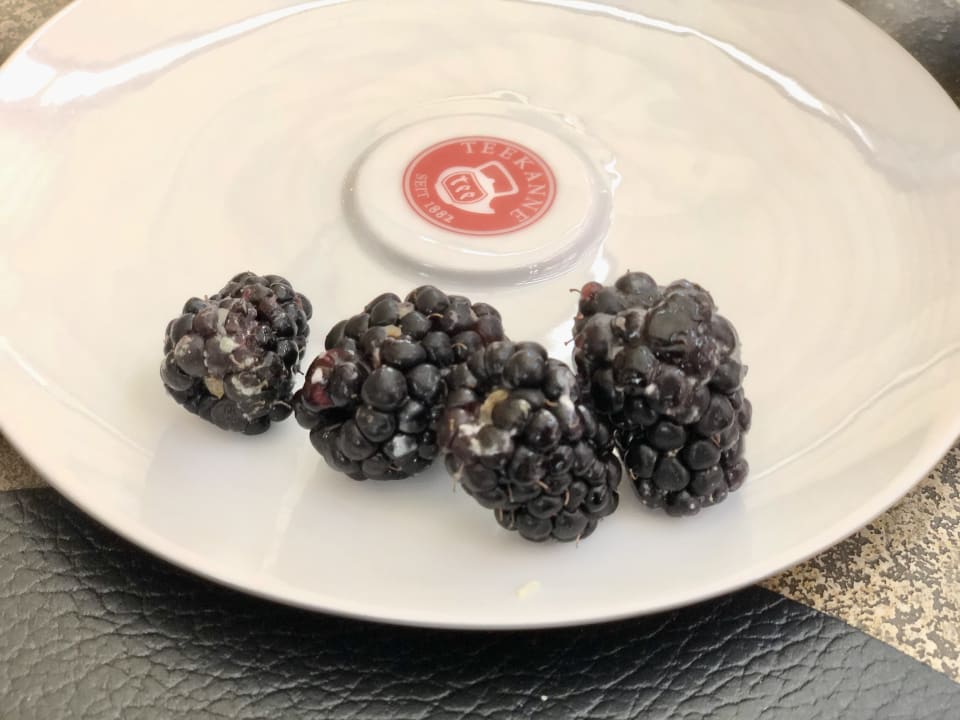 Gastro Alpin Resort Sacher Seefeld-Tirol