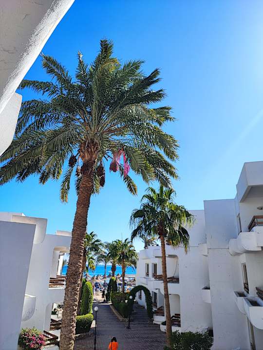 Ausblick Marlin Inn Azur Resort