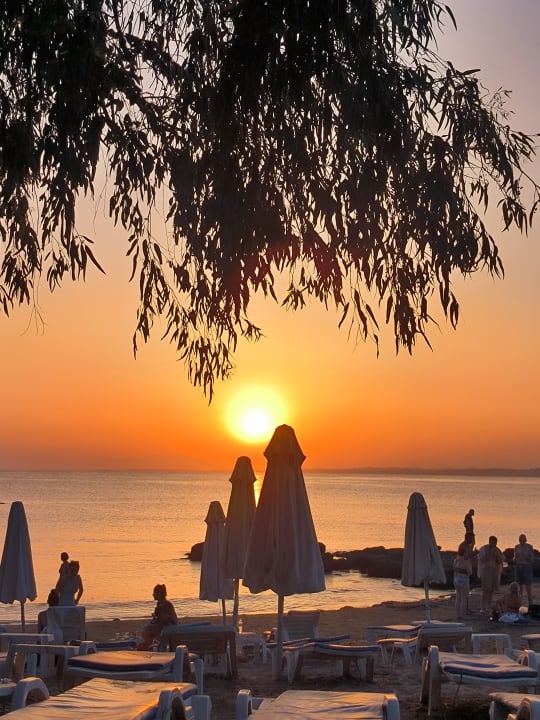 Strand Can Garden Beach