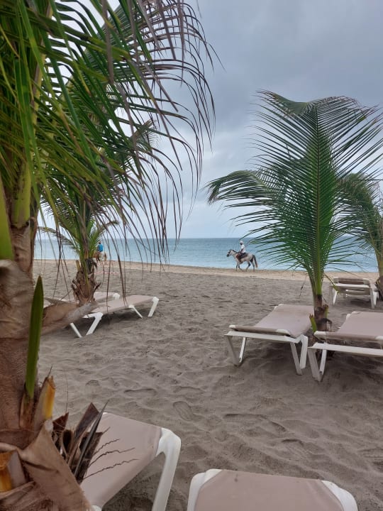 Strand Hotel Riu Karamboa