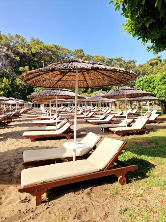 Gartenanlage TUI BLUE Seno - Adults Only