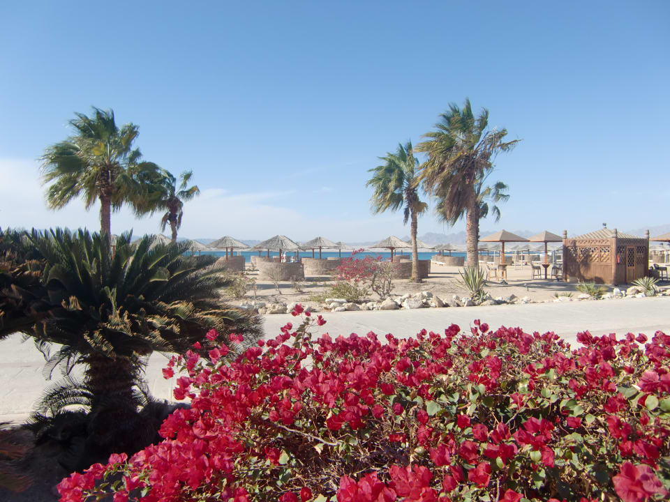 Promenade Hotel Sheraton Soma Bay Resort