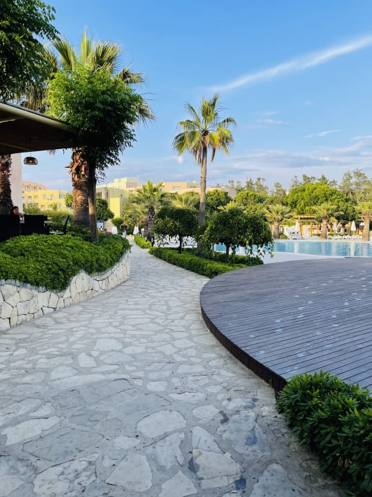 Pool Blue Waters Club