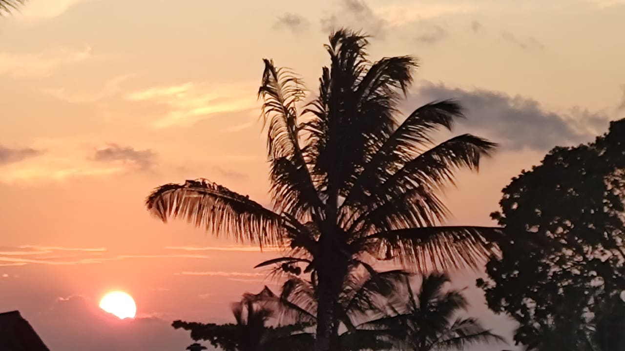 Ausblick Royal Zanzibar Beach Resort