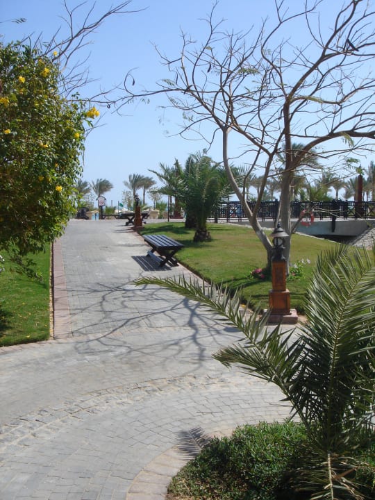 Traumhaft Steigenberger ALDAU Beach Hotel