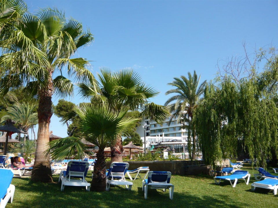 Gartenanlage Hotel Exagon Park