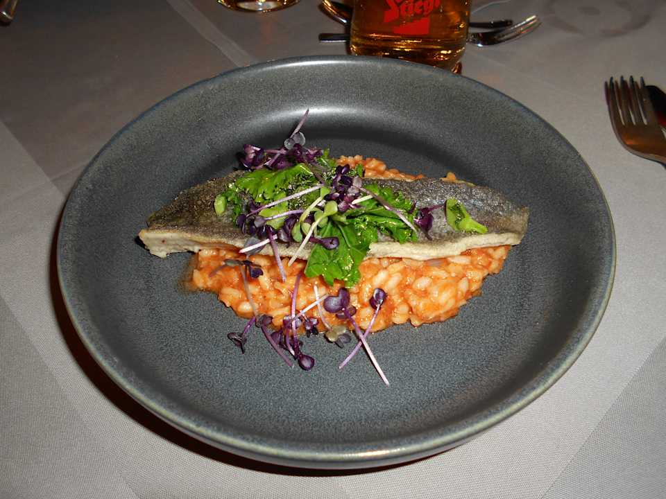 Gastro Hotel Zum Stern